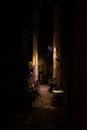 KorÃÂula Old Town alley at night Royalty Free Stock Photo